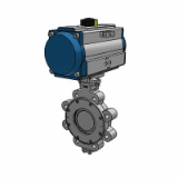 FNW High Performance - Butterfly Valve